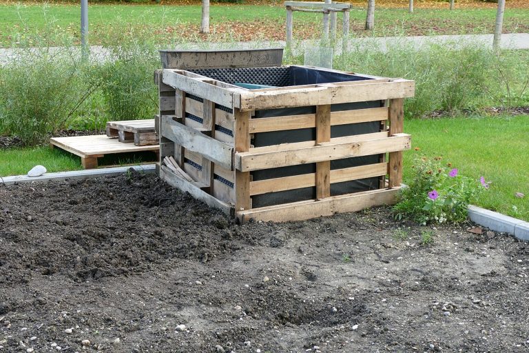 Raised Bed vs In-Ground Gardens: A Comparison