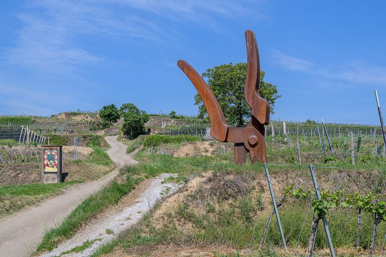 Best Pruning Shears for Home Gardeners