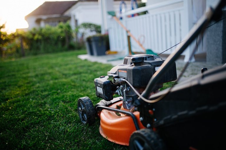 Electric vs Gas Garden Tools: A Guide