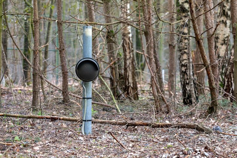 Smart Garden Tools and Sensors: What’s New
