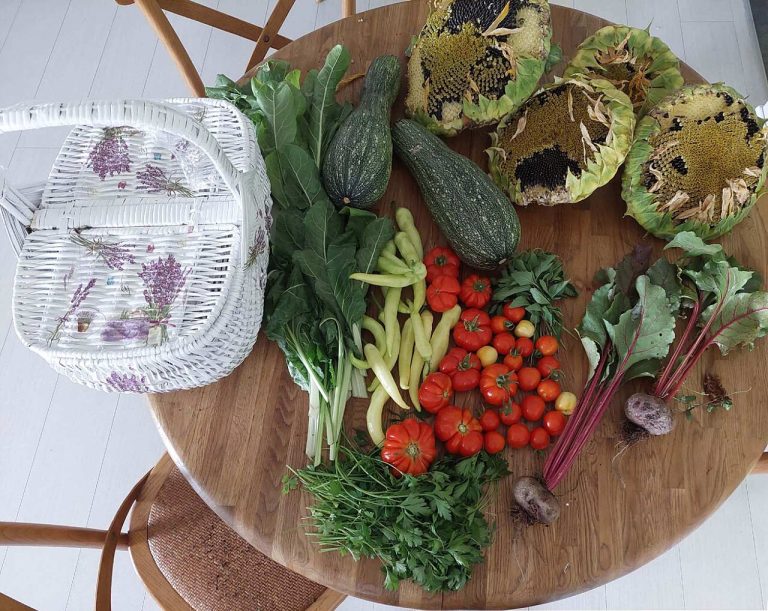 When to Harvest Common Vegetables