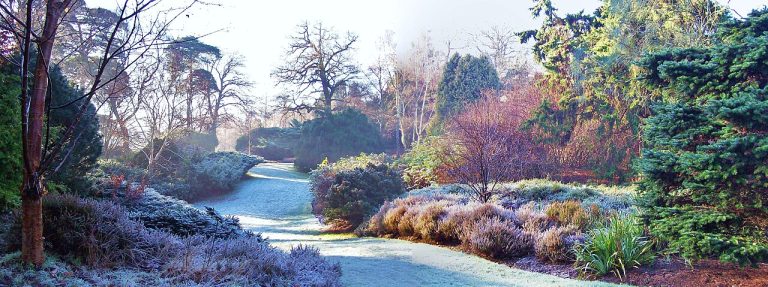 Frost Protection for Home Gardens